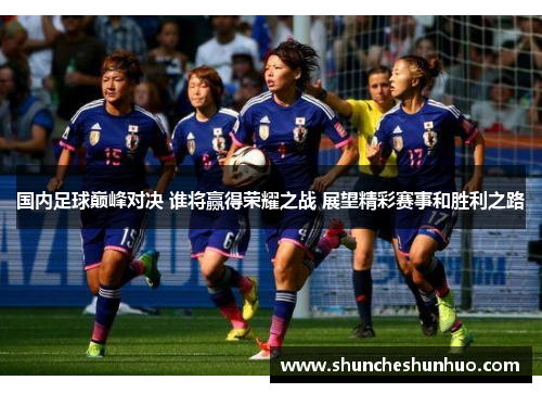 国内足球巅峰对决 谁将赢得荣耀之战 展望精彩赛事和胜利之路
