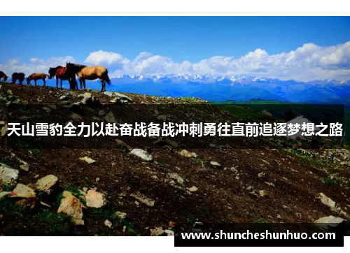 天山雪豹全力以赴奋战备战冲刺勇往直前追逐梦想之路