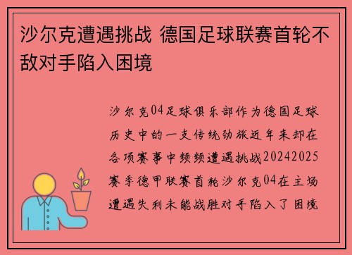 沙尔克遭遇挑战 德国足球联赛首轮不敌对手陷入困境